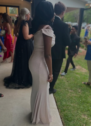 Elegant Pale Pink Mermaid Long Formal Gown to Impress,WGP1839