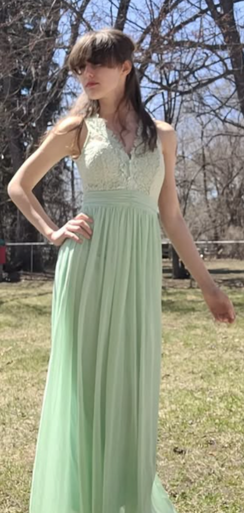 Popular Green A-line Lace Long Formal Gown to Impress,WGP1993