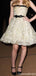 Elegant Strapless A-line Short Mini Homecoming Dress,QB1153