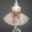 Ball Gown Scoop Pink Tulle Flower Girl Dresses with Lace Sequins Bow Knot, QB0081