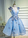 Long Sky Blue Prom Dresses Butterfly Applique Quinceanera Dresses, QB0315
